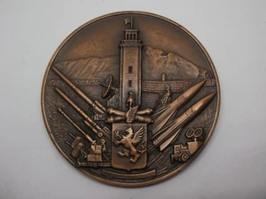 Medaglia bronzo artiglieria militare raduno ufficiale sottofficiali della scuola di a - Foto 1 di 7
