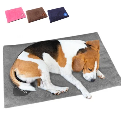 Cama para dormir personalizada para perros suave engrosada polar alfombra manta nombre personalizado Foto 1 de 4