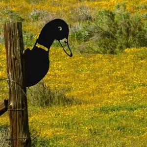 Peeping Duck Metal Art Garden Outdoor-Ornaments, Farm, Decor - Picture 1 of 2