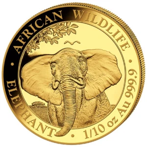 2021 Somalia Elephant Elefant 1/10 oz Gold Coin BU under ORIGINAL mint sealed - Bild 1 von 3