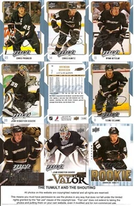 2008-09 UD Upper Deck MVP Anaheim Ducks Master Team Set  (13)  - Picture 1 of 1