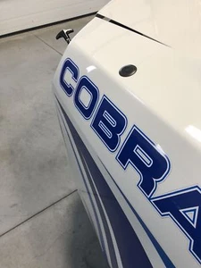 2010-2014 FORD MUSTANG GT COBRA JET CJ & SHELBY GT500 RADIO ANTENNA DELETE OEM - Picture 1 of 4