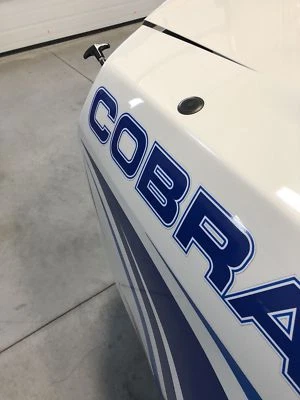 Antena de radio Ford Mustang GT COBRA JET CJ y Shelby GT500 2010-2014 ELIMINAR OEM Foto 1 de 4