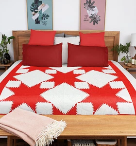 Red & White Feathered Edge Star- Bold Graphic look FINISHED QUILT - Picture 1 of 6