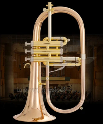 phosphor copped Flugelhorn quality FLUGEL 1.33KG Amado Waterkeys With Case - Bild 1 von 4