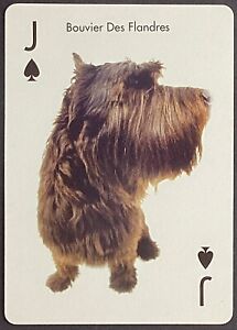 Dog Bouvier Des Flandres Single Swap Wide Playing Card Jack Spades Unused