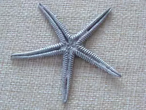 VTG 2.5" Pewter Sealife Figure - Starfish - Picture 1 of 3