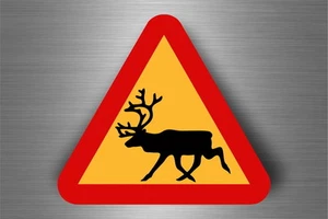Adesivo decalcomania avvertimento auto frigo segnale stradale avvertimento cervo r2 - Foto 1 di 1