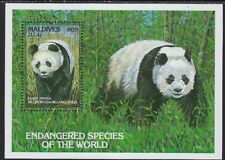 MNH Souvenir Sheet from Maldives Giant Panda  # 1867a........22L......SS-209