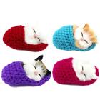 Coolayoung 4Pcs Sleeping Cat In Slipper Doll Toy, Mini Kitten In Shoe With Meows