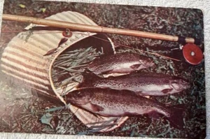 Bergforellen Postkarte automatische Fliegenrute & Gatter Abendessen auf Chrom verschickt  - Bild 1 von 2