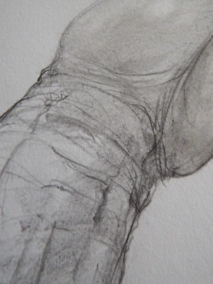 Hand Drawn Penis Pencil Tonal Drawing NSFW Male Nude Illustration Erect Phallus  - Image 1 of 4