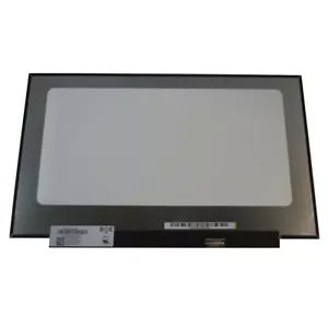 B173HAN04.2 Led Lcd Screen Display 17.3" FHD 30 Pin (Non-Touch) - Picture 1 of 1
