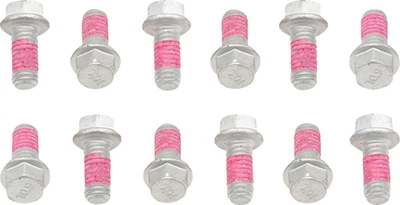 PERNO - 2009-KTMRTR - Perno - Rotor - Paquete de 12 - KTM - EX 300 EC 300 EC 250F MC Foto 1 de 2