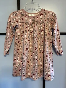 Hanna Andersson Pink Floral Mushrooms Snails Swing Cotton Dress Size 110 4T - Picture 1 of 4