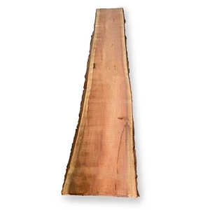 Red Oak Live Edge Slab for Sale Starts at $50 and up to 30% off - Picture 1 of 7