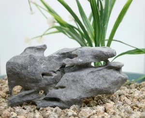 Viewing stone suiseki-scholar rock Ying stone Rough Decor Rockery bonsai J260 - Picture 1 of 7