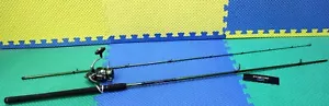 Shimano Symetre Salmon/Steelhead Spinning Combo 9' 0" Rod PSYC3000HGFMSYS90H2 - Picture 1 of 7