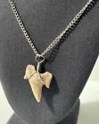 1.5 “ Shark Tooth Necklace for Men On Chain Genuine Shark Tooth Pendant