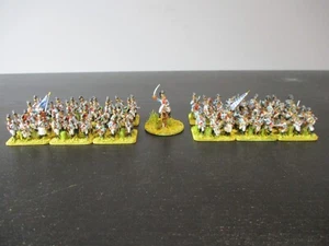 Miniaturas de Primera Rango Regimiento Napoleónico de Infantería de Baviera Bien Pintadas - Imagen 1 de 24