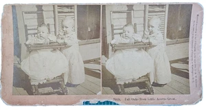Fall Oaks from Little Acorns Grow Baby Ritratto Antico Stereo Vista B.W. Kilburn - Foto 1 di 2