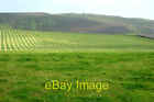 Photo 6x4 Grass cut for silage on Swannay Farm land Abune-the-hill Costa  c2005