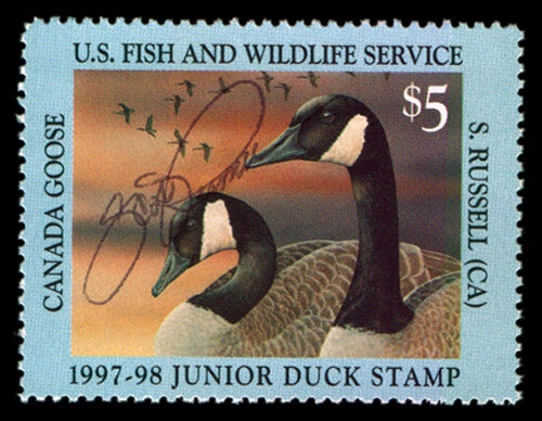 JDS5S — 1997 Junior Duck Stamp signed by artist - Image 1 of 1