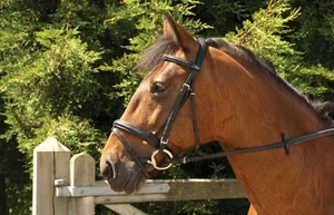 Windsor Leder Komfort Pferd Pony Trense Trense + Blitz Nasenband Gummizügel - Bild 1 von 1