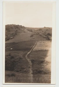 RPPC Puerto Rico Vieques LANDSTRASSE MIT WANDERERN Menschen Landschaft Postkarte - Bild 1 von 2