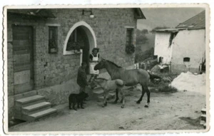 Foto AK Rengsdorf bei Neuwied,Bauernhof,Pferd mit Fohlen,Bewohner um 1920 - Picture 1 of 2