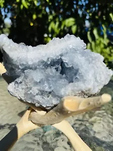 Top Quality Natural Sky Blue Celestite Crystal Cluster With wooden Stand Geode - Picture 1 of 24