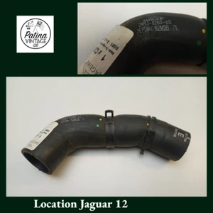 NEW JAGUAR X350 TOP RADIATOR HOSE XJR 4.2 LITRE SUPERCHARGED C2C10865 - Picture 1 of 1