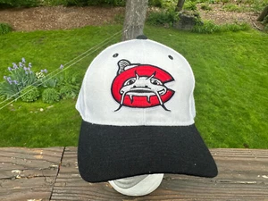 Carolina Mudcats Adjustable Cap von Zephyr - Bild 1 von 3