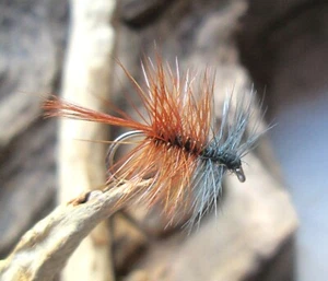 Gilchrist Fliegen. 3 x Trockenfliegen BIVISIBLE DUN. Auswahl von Größen. Forelle - Bild 1 von 2