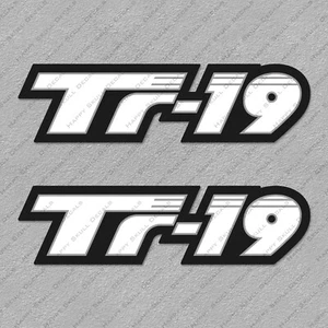 TRITON BOATS TR-19 DECALS 2 10.5" LONG - Picture 1 of 2