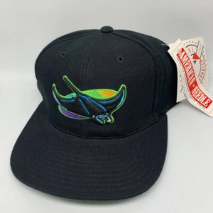 Vintage Tampa Bay Devil Rays Wool Blockhead American Needle Hat Snapback Cap New - Imagen 1 de 8