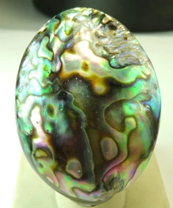 Anillo Abulón Enorme Ajustable Cóctel Declaración Boda Madre de Novia - Imagen 1 de 1