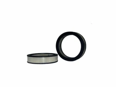 Filtro de aire para Ford Maverick 1972-1976 WIX 49613ZB 1973 1974 1975 5,0 L V8 Foto 1 de 2