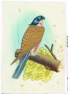 Pintura en miniatura hecha a mano de un pájaro cernícalo pintura sobre tela de seda 4x5,5" - Imagen 1 de 8