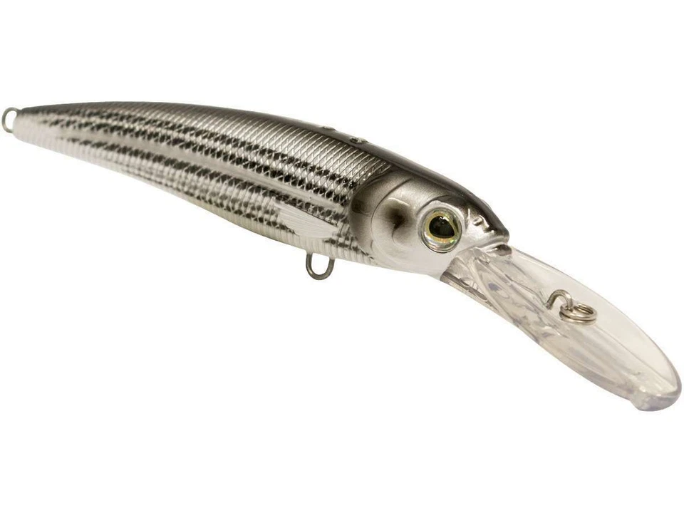 Salmonete de agua salada Livingston Voyager 15 Crankbait 4,75" Deep Diver 8112 | B3 Foto 1 de 1