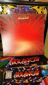 Electrocoin Arkanoid arcade artwork conversion kit. - Picture 1 of 4