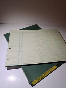 100 Boorum & Pease Green Columnar Ledger Sheets 9 1/2"h x 11 7/8"w NOS Vintage - Picture 1 of 7