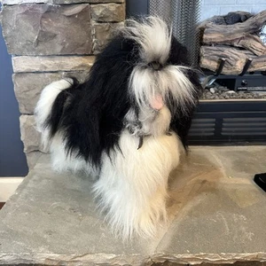 Shih Tzu Hund Plüsch schwarz weiß SKM 19 Zoll Länge Stofftier Spielzeug realistische Etiketten - Bild 1 von 11
