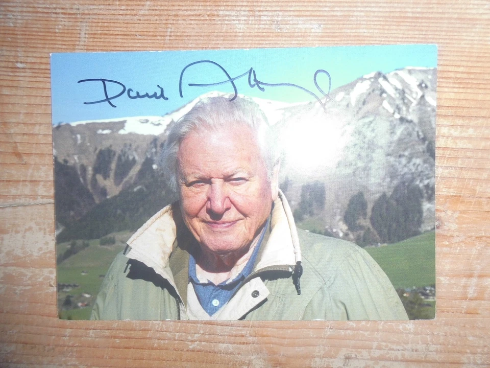 original David Attenborough - Bild 1 von 1