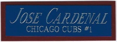 PLACA DE IDENTIFICACIÓN JOSE CARDENAL CUBS PARA ESTUCHE CUBO DE EXHIBICIÓN DE BÉISBOL AUTOGRAFIADO Foto 1 de 3