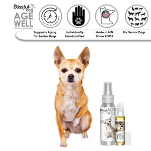 Chihuahua Age Well Aromatherapy | Supports Your Aging Chihuahua Mentally - Picture 1 of 12