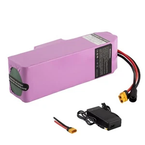 Mit Ladegerät 24V 17.5Ah Elektrofahrrad Li-Ion Batterie für Roller etc 230mm - Picture 1 of 7