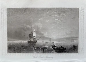 Estampado antiguo 1842; tiro de aves salvajes, amanecer después de Beckwith - Imagen 1 de 2