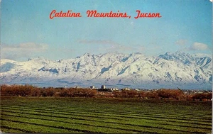 CATALINA MOUNTAINS Tuscon, Arizona AZ Postcard - Picture 1 of 2