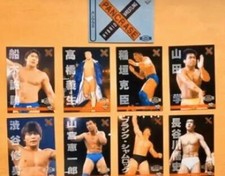 96 Pro Wrestling Cards Pancrase 9-piece set Masakatsu Funaki Yoshio Takahashi